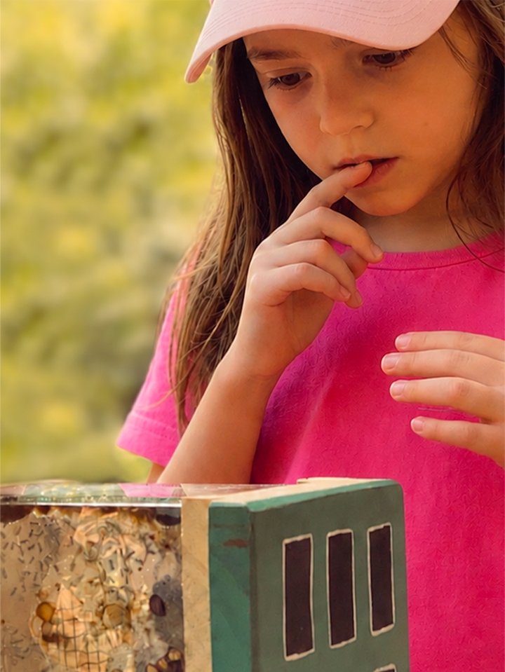 Menina observando uma caixa de abelhas